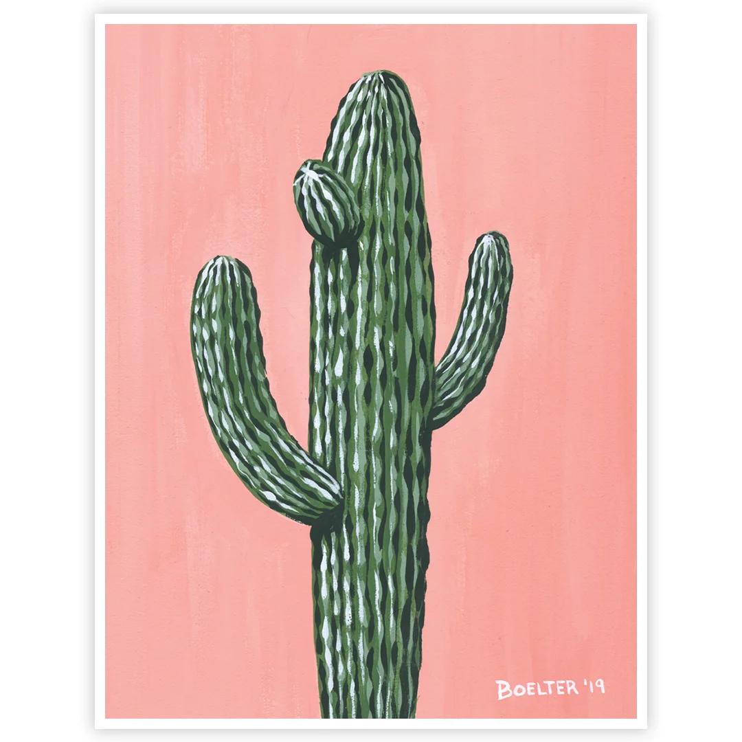 No 4 Saguaro on Cadmium Pink Preview 2