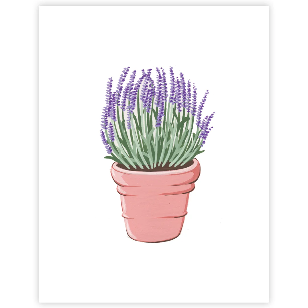 Potted Lavender Preview 02