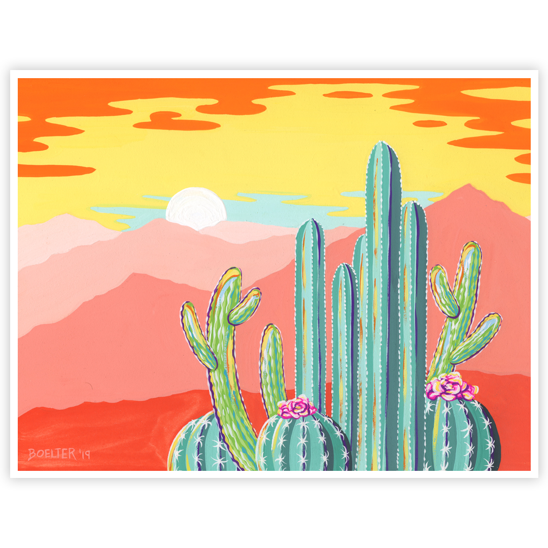 19-07-23-Wild-Barrel-Cacti-Sunset-web-02.jpeg