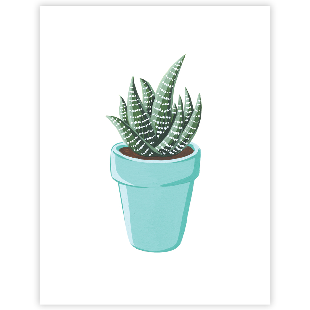 19-07-13-Pink-Potted-Cacti-and-Flowers-Haworthia-web-02.jpg