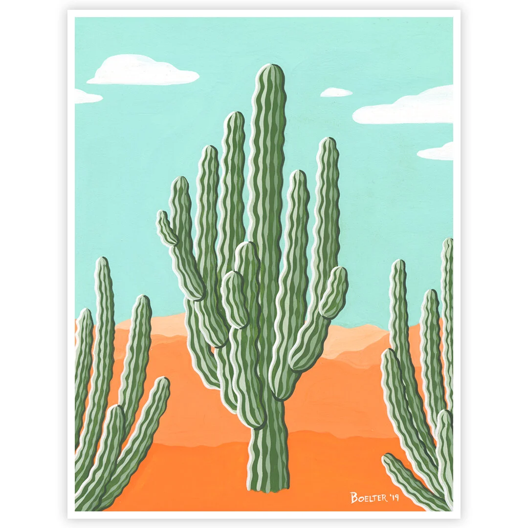 19-09-26-Good-Ol-Pachycereus-web-02.jpeg