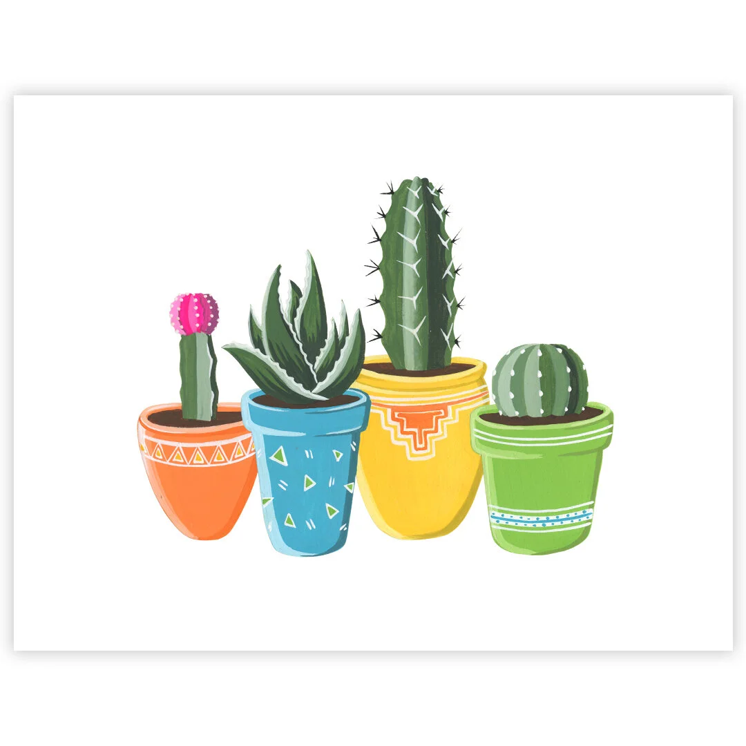 19-11-17-Colorful-Potted-Desert-Plants-web-02C.jpeg