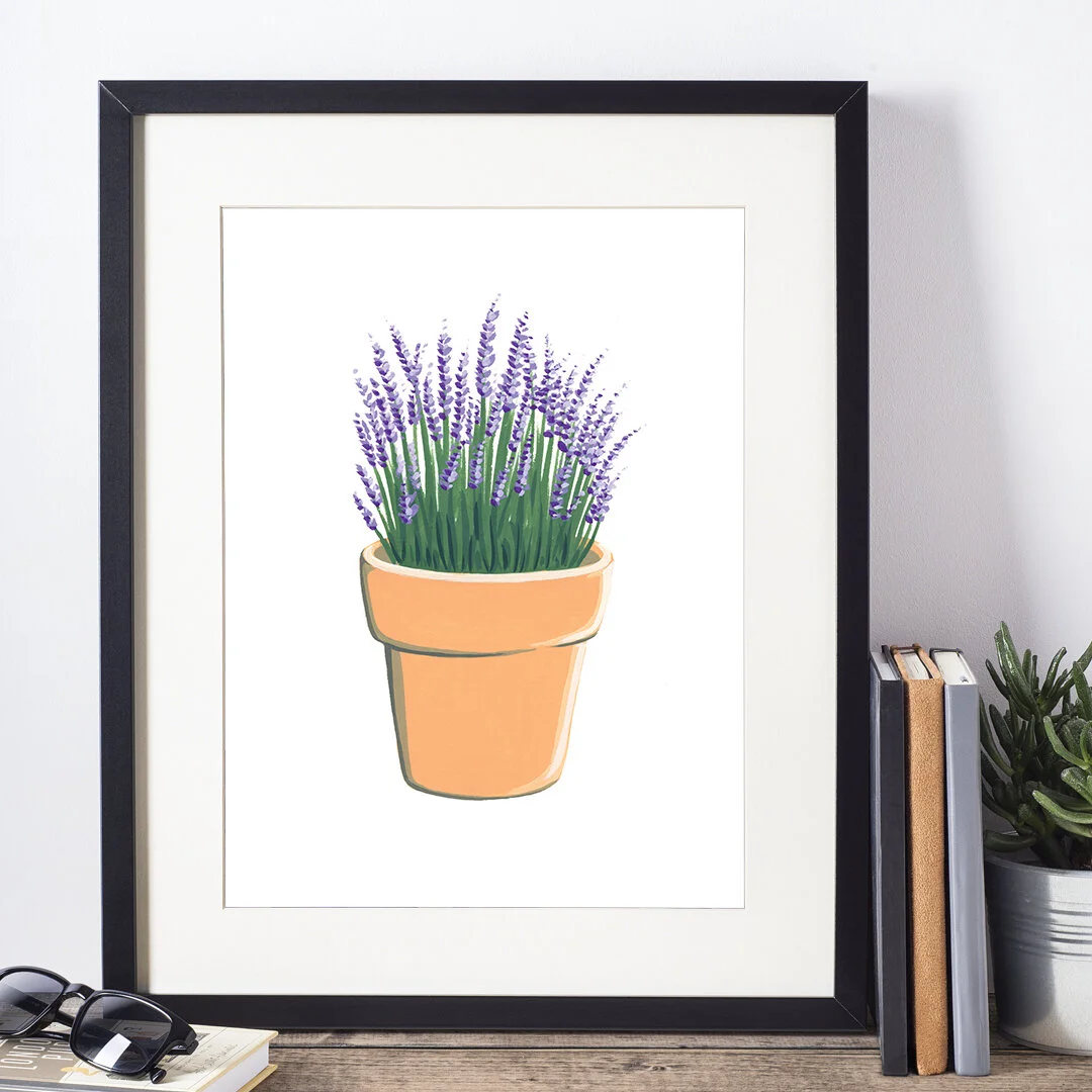 20-02-28-Potted-Lavender-No-2-web-01.jpeg