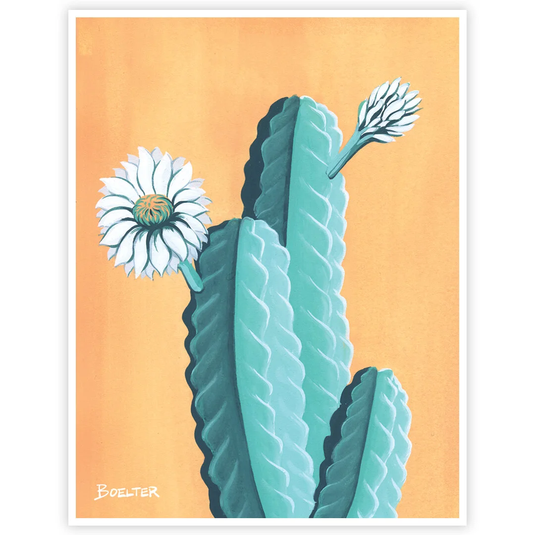 20-03-04-Cacti-Blooms-web-02.jpeg