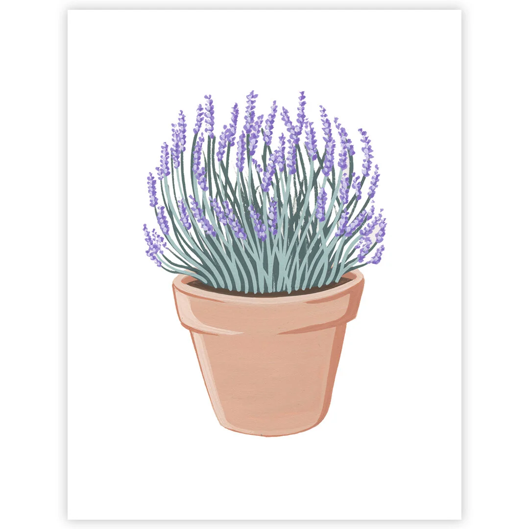 20-05-15-Potted-Lavender-Commision-web-B.jpeg