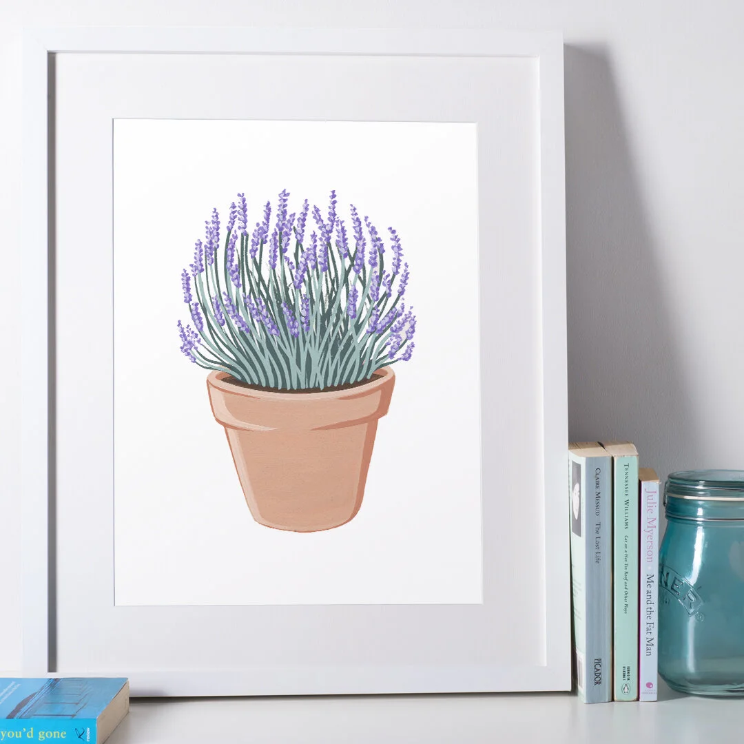 20-05-15-Potted-Lavender-Commision-web-A.jpeg