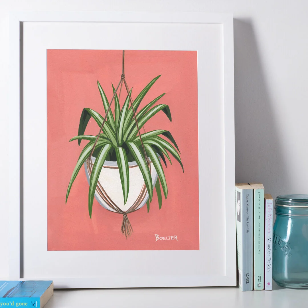 Hanging Spider Plant No. 2 | Art Print #150 | Boelter Design Co.