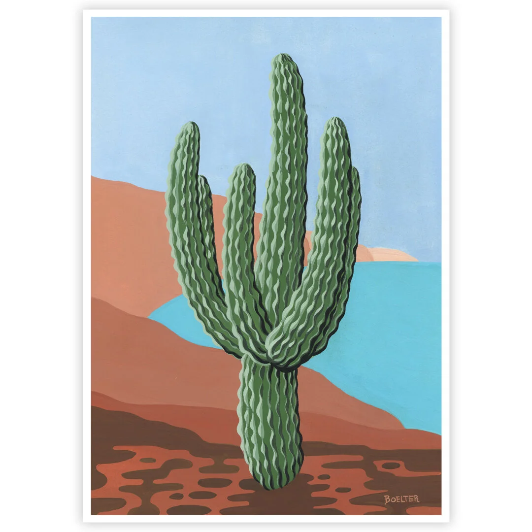 20-07-31-Coastal-Saguaro-No-1-web-02.jpeg