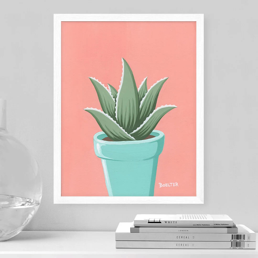 20-09-30-Turquoise-Potted-Aloe-on-Pink-web-01.jpeg