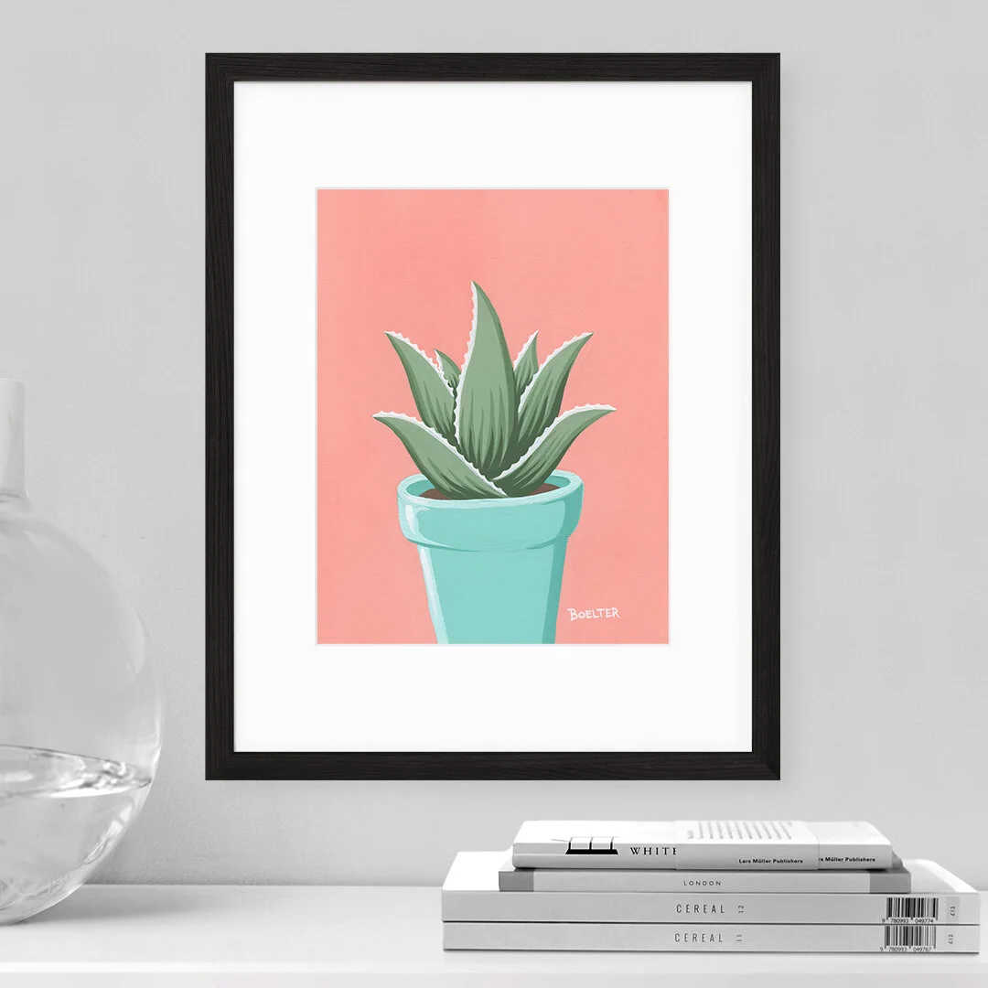 20-09-30-Turquoise-Potted-Aloe-on-Pink-web-02.jpeg