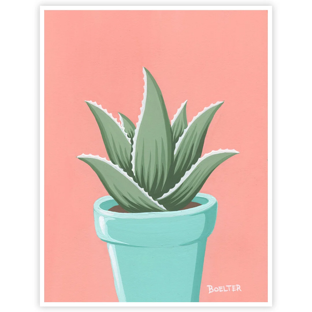 20-09-30-Turquoise-Potted-Aloe-on-Pink-web-03.jpeg