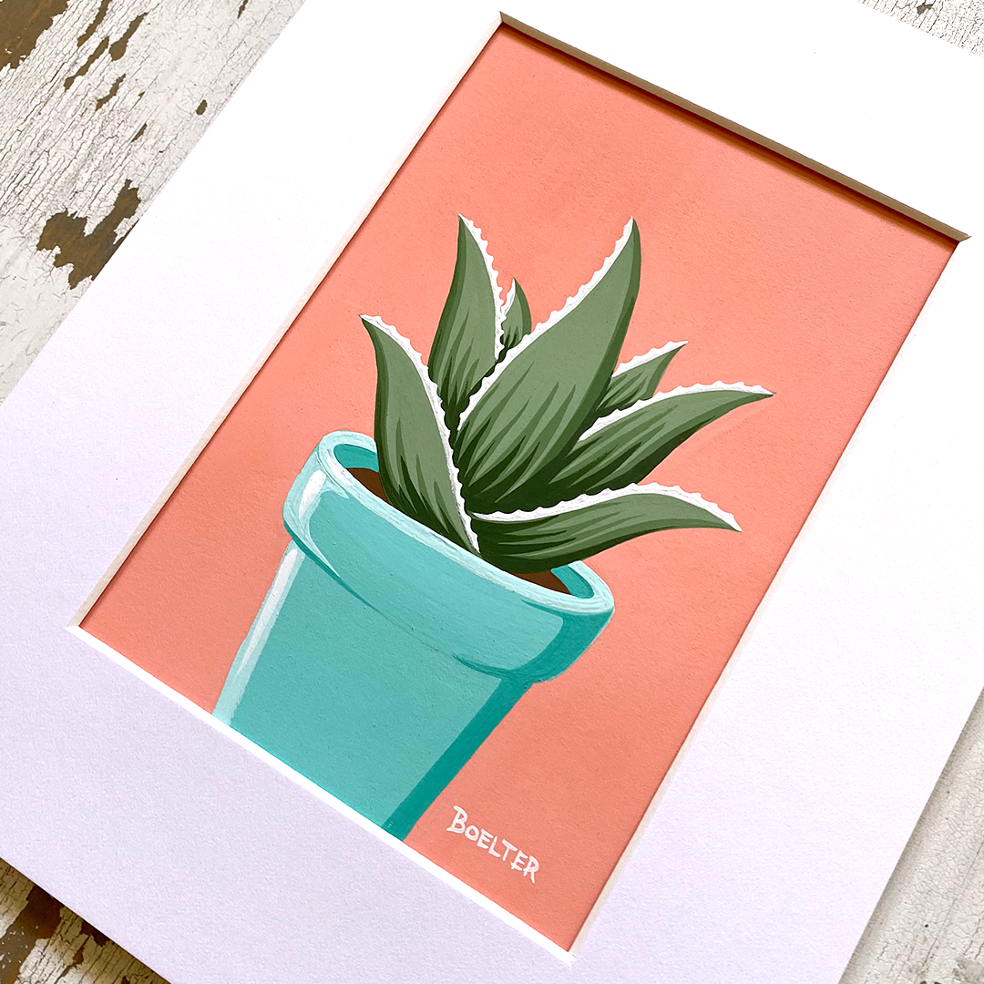 20-09-30-Turquoise-Potted-Aloe-on-Pink-OG-web-02.jpeg