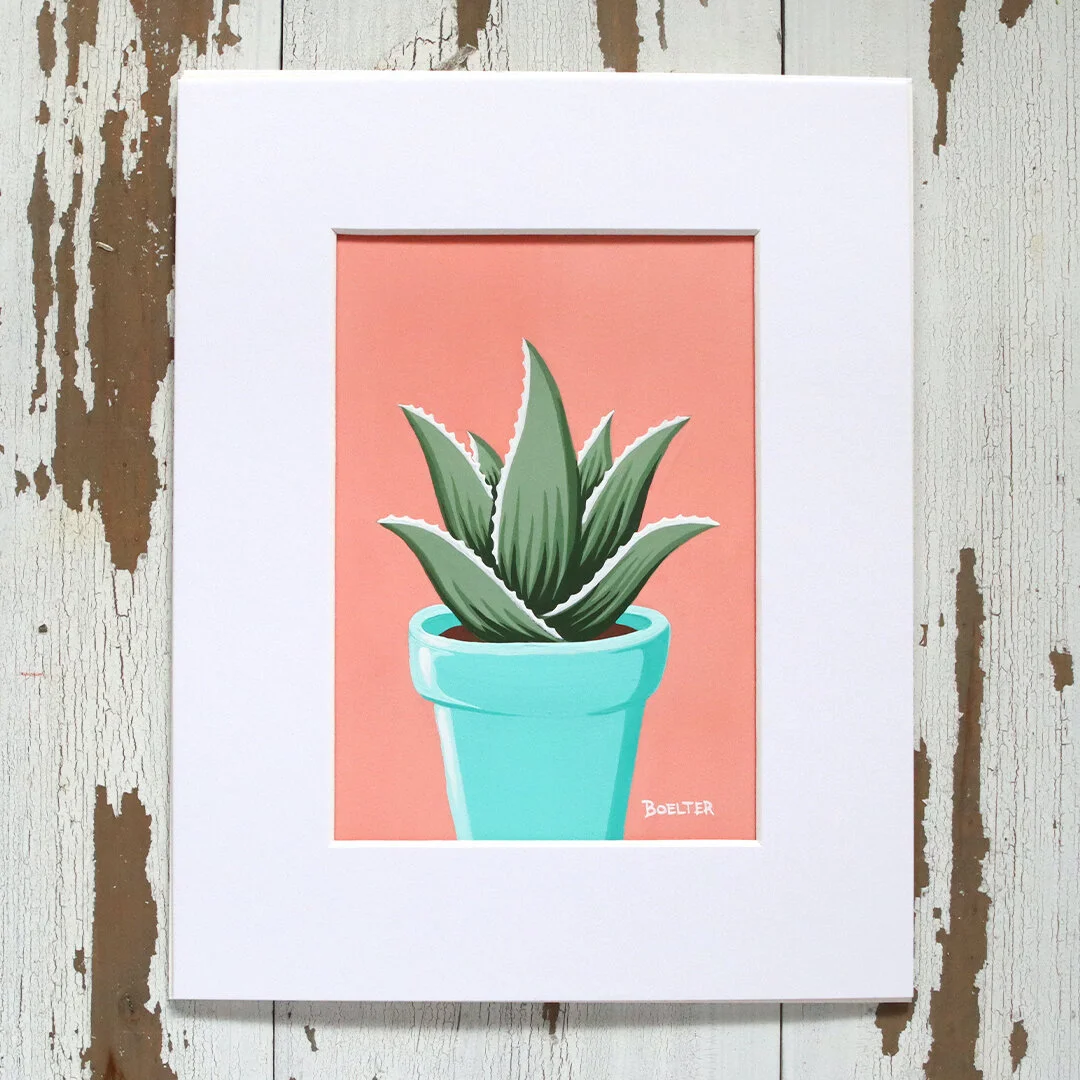 Turquoise Potted Aloe on Pink | Original
