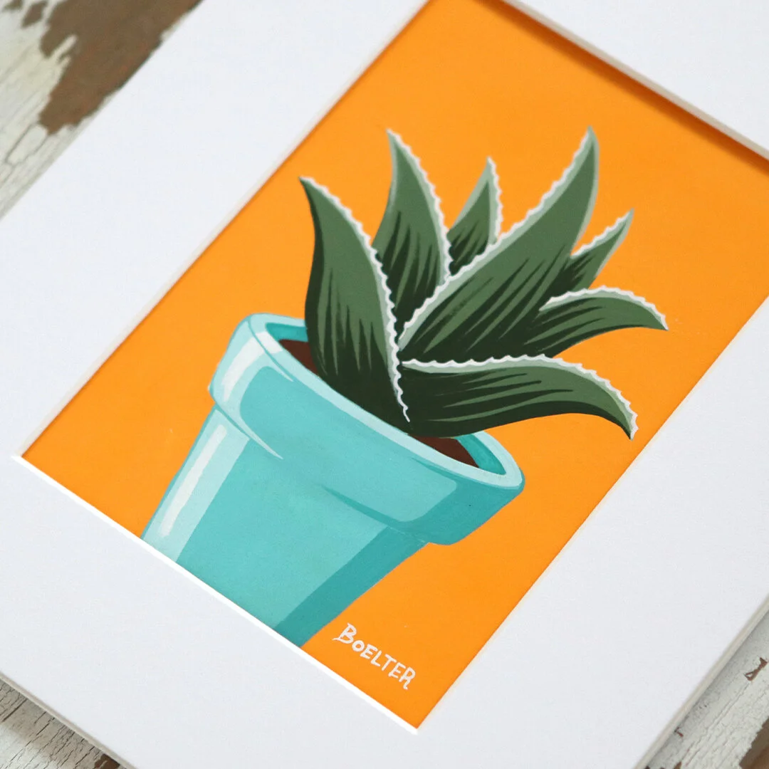 20-10-22-Turquoise-Potted-Aloe-On-Yellow-Orange-web-B.jpeg