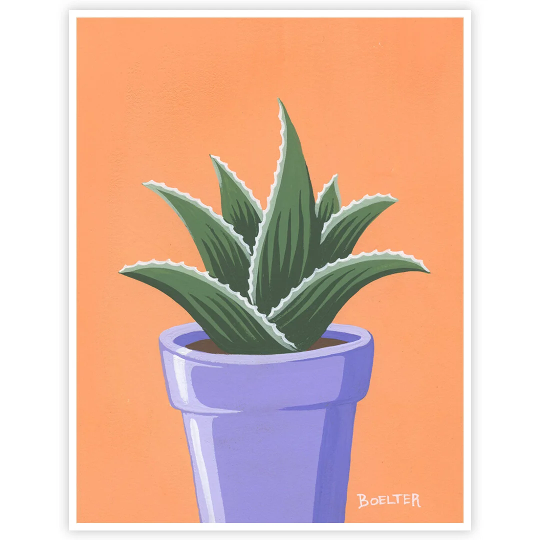 20-10-22-Iris-Potted-Aloe-On-Orange-Red-web-03.jpeg