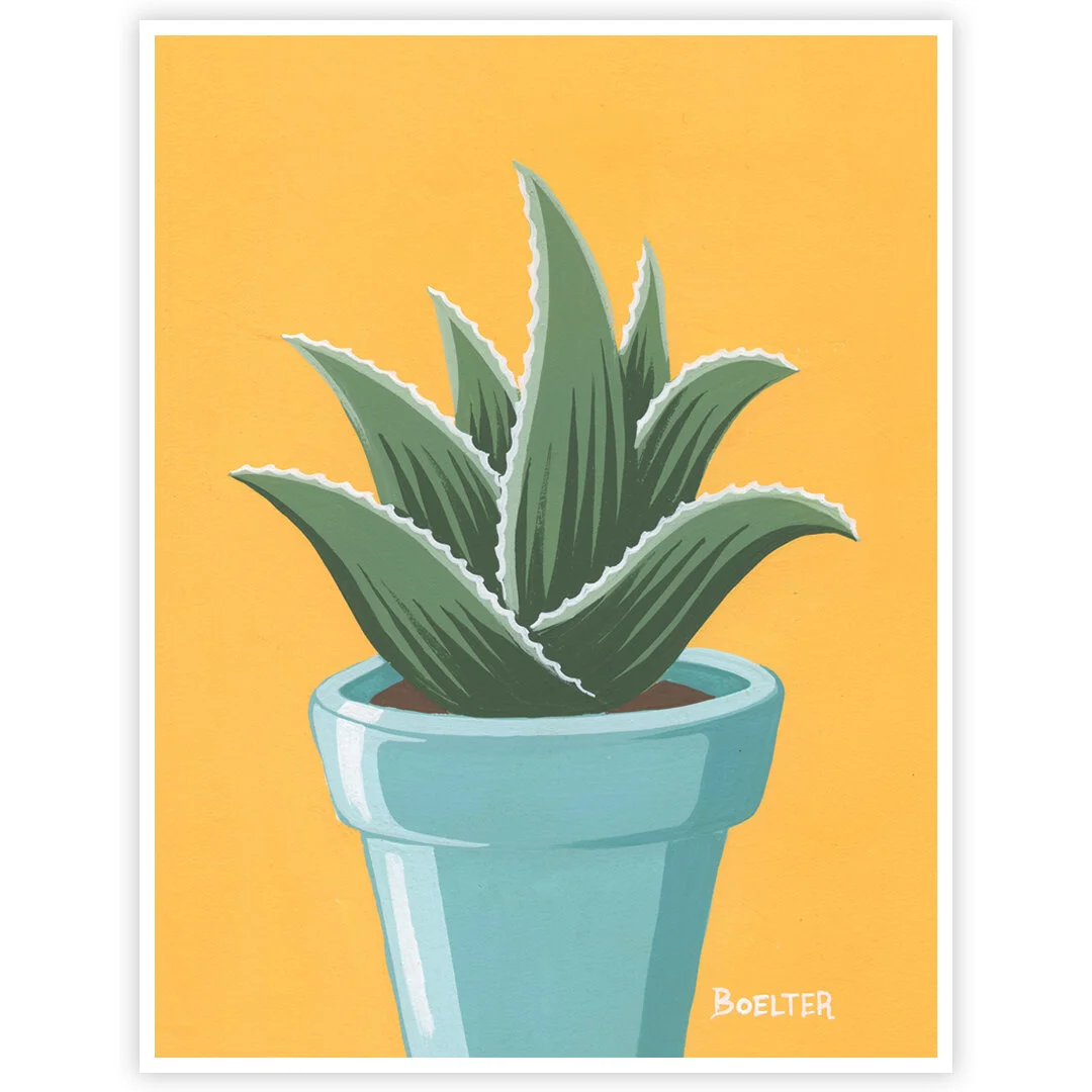 20-10-22-Turquoise-Potted-Aloe-On-Yellow-Orange-web-02.jpeg