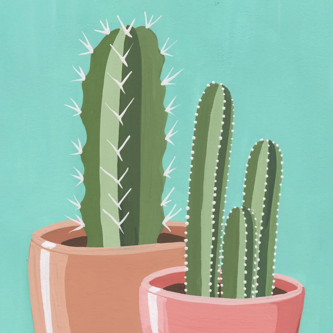21-01-31-Potted-Cacti-No-10-web-03.jpeg