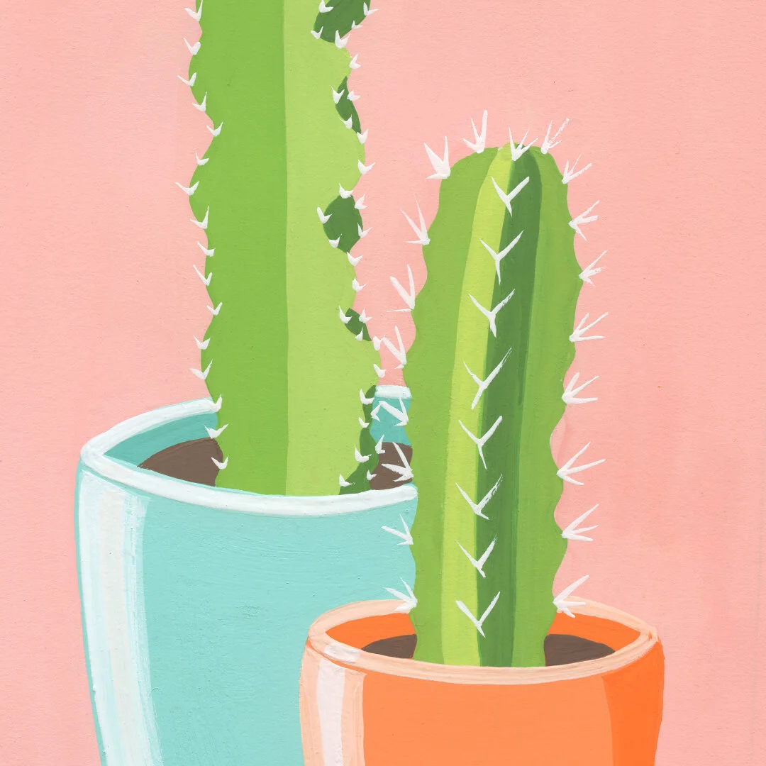 21-01-31-Potted-Cacti-No-11-web-04.jpeg