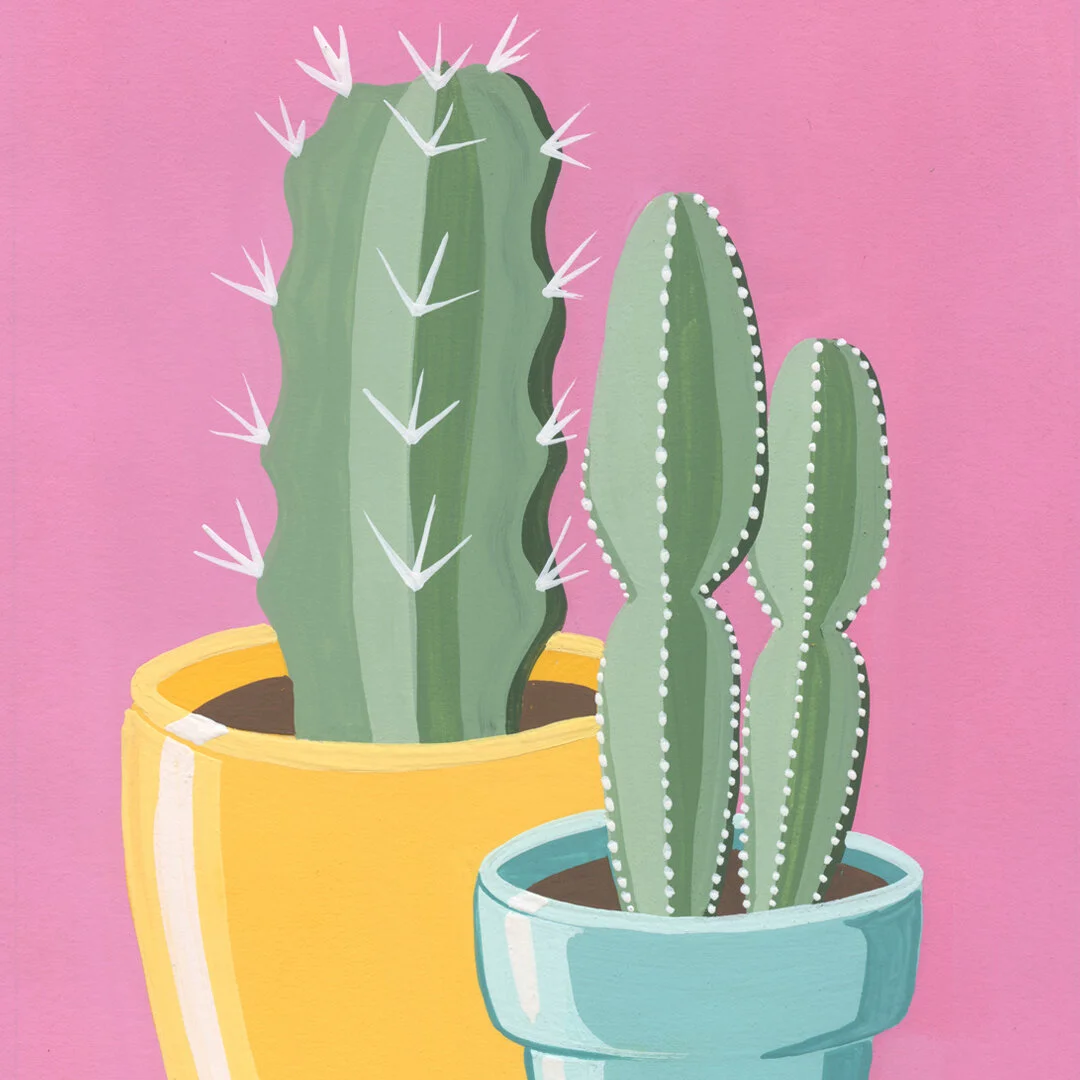 21-01-31-Potted-Cacti-No-12-web-03.jpeg