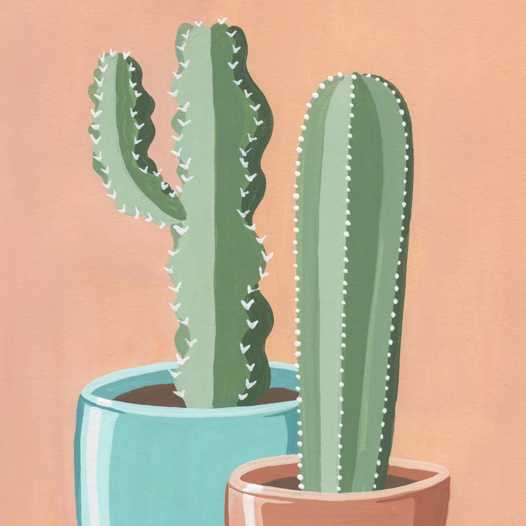 21-01-31-Potted-Cacti-No-13-web-03.jpeg