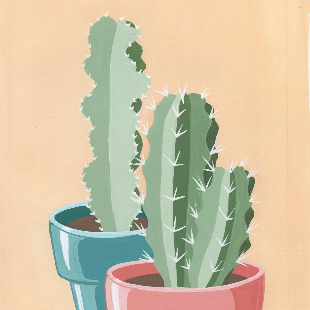 21-01-31-Potted-Cacti-No-14-web-03.jpeg
