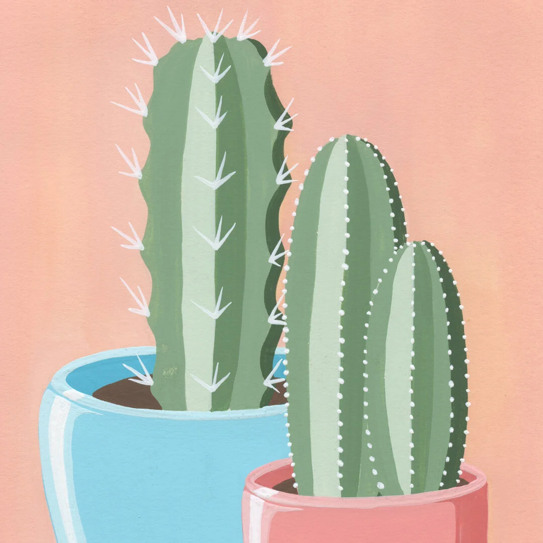 21-01-31-Potted-Cacti-No-16-web-03.jpeg