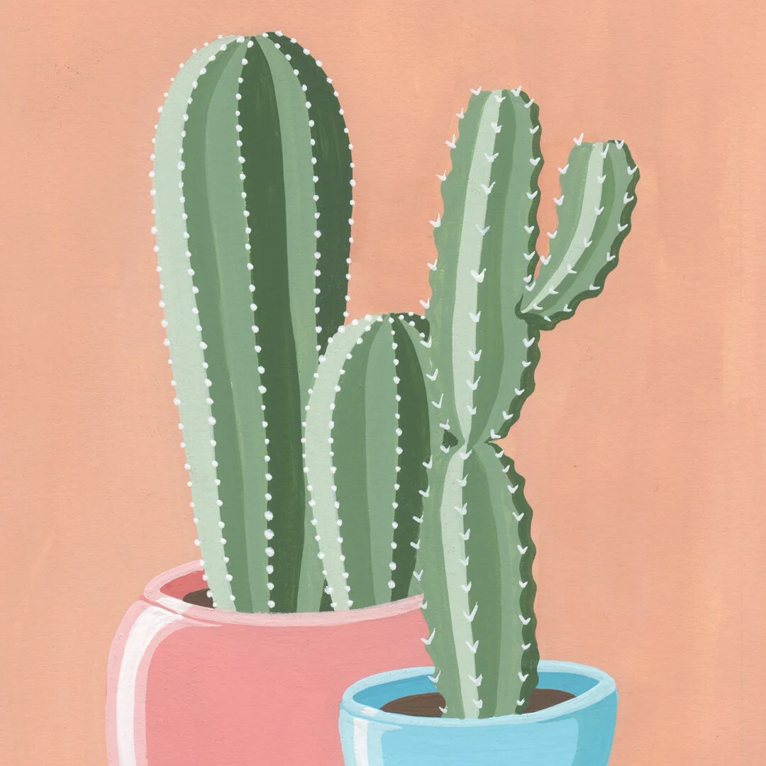 21-01-31-Potted-Cacti-No-17-web-03.jpeg