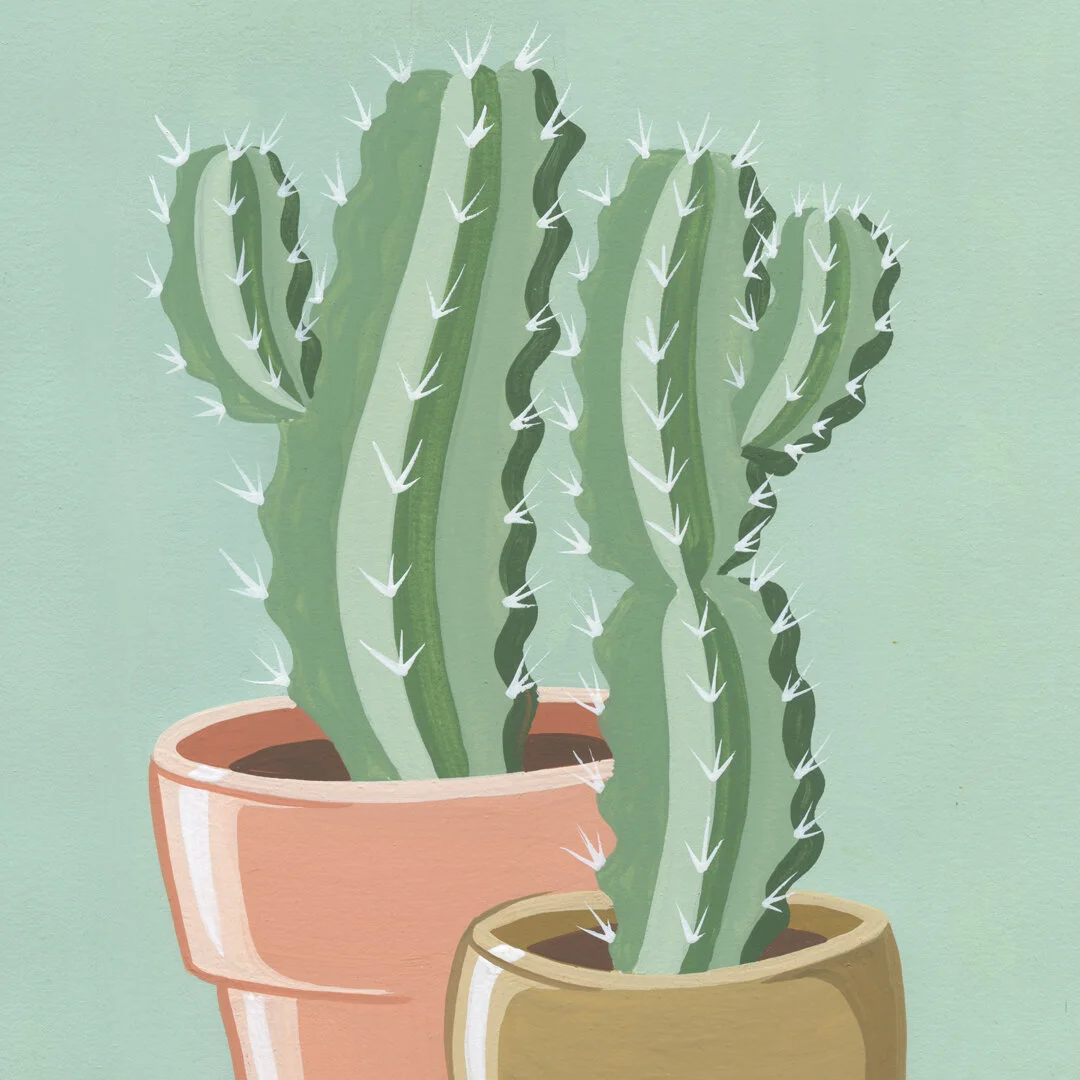 21-01-31-Potted-Cacti-No-18-web-03.jpeg
