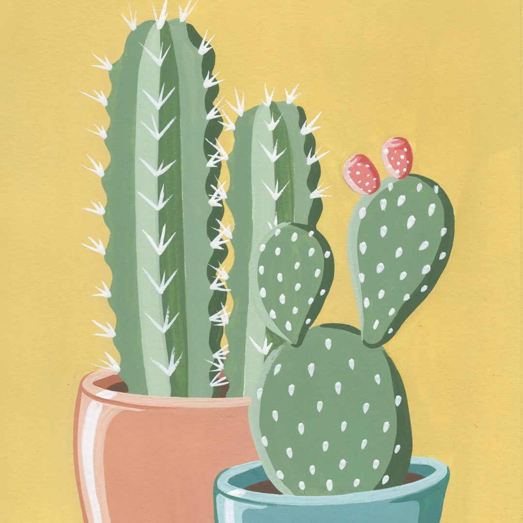 21-01-31-Potted-Cacti-No-19-web-03.jpeg
