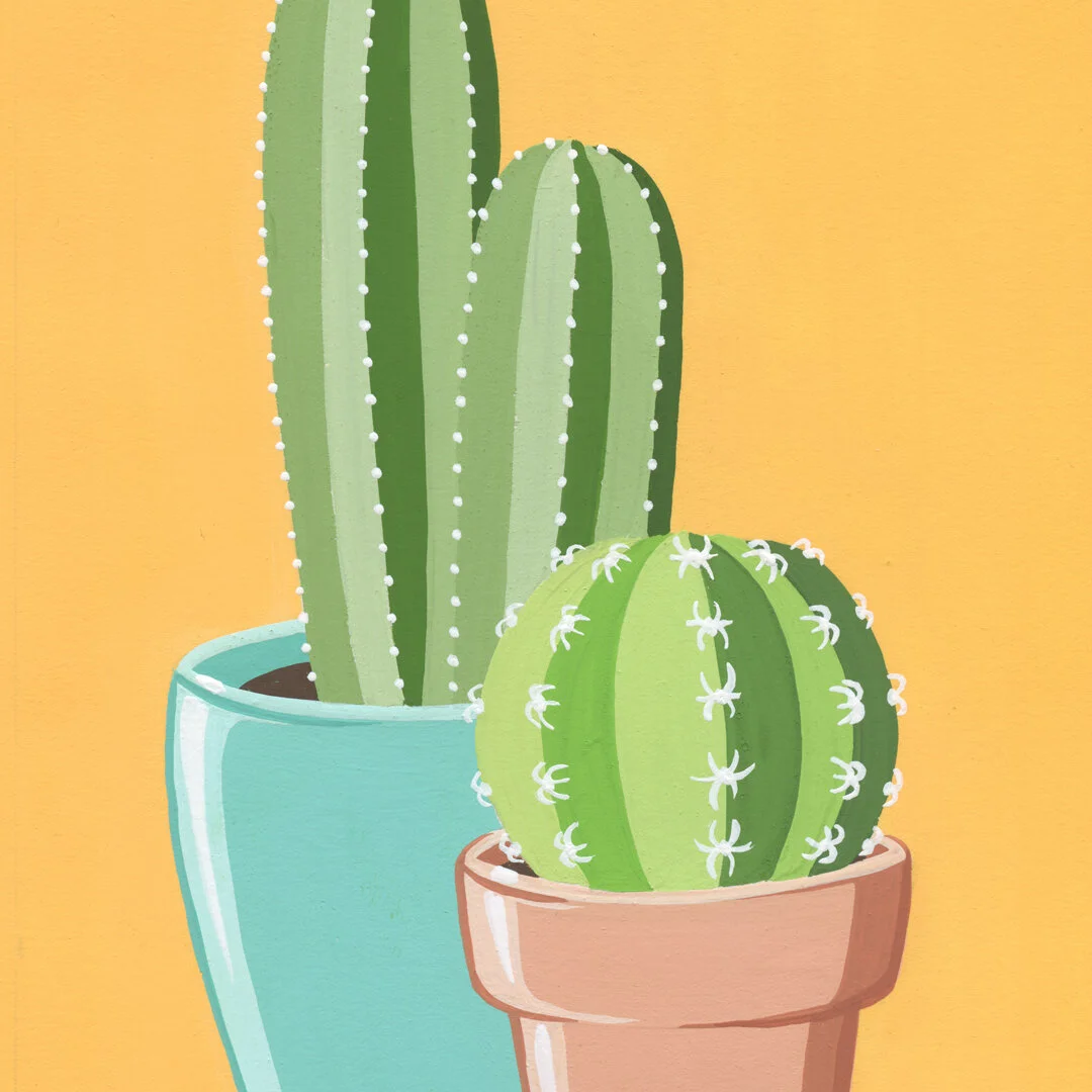 21-01-31-Potted-Cacti-No-20-web-02.jpeg
