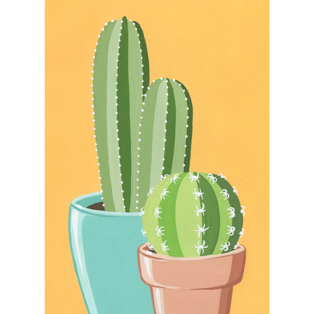 21-01-31-Potted-Cacti-No-20-web-03.jpeg