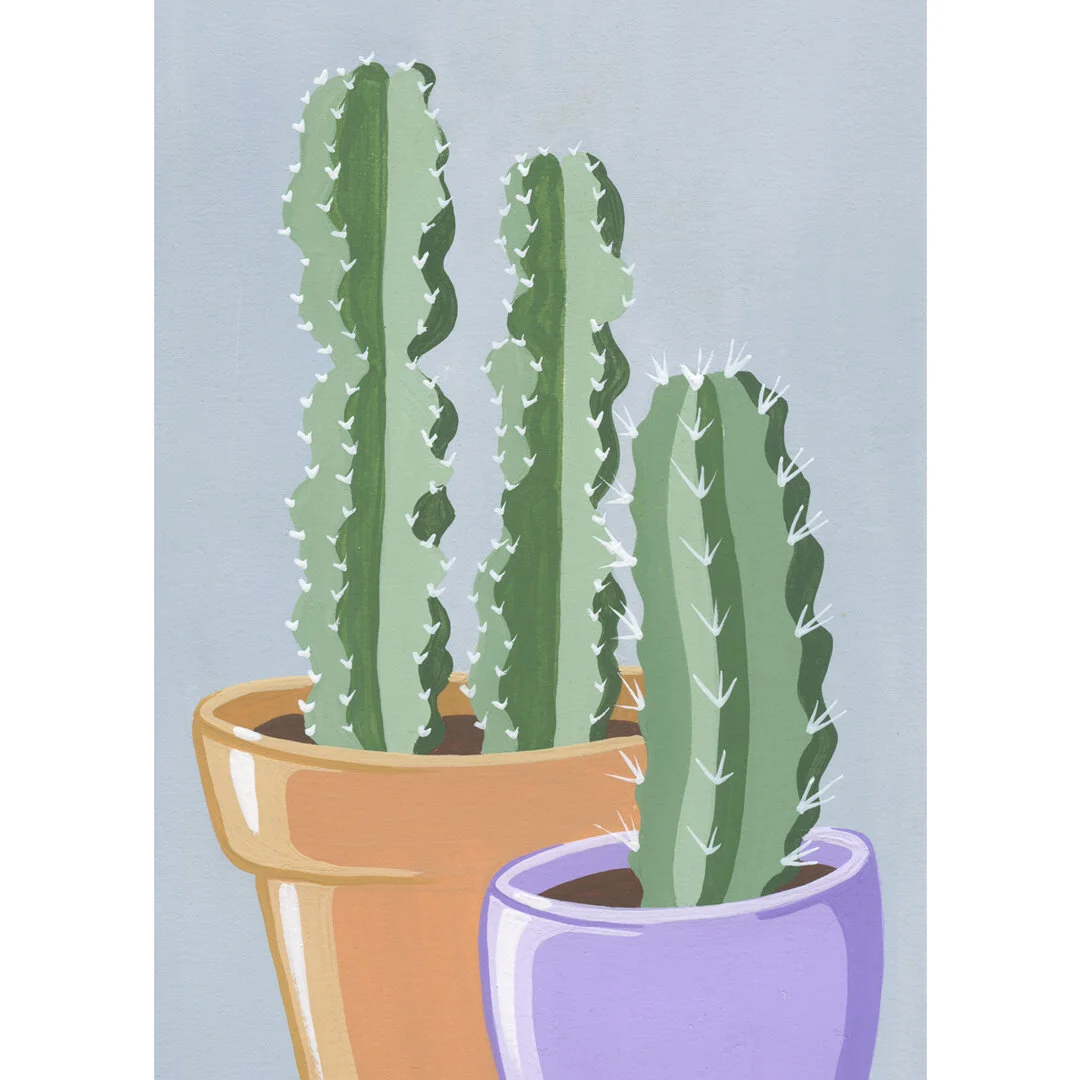 21-01-31-Potted-Cacti-No-21-web-04.jpg
