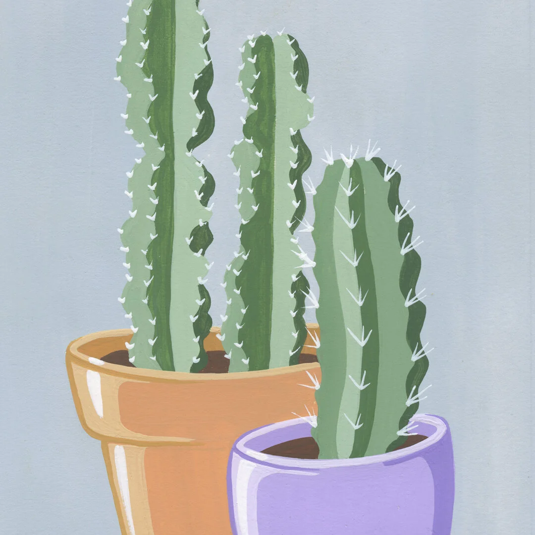 21-01-31-Potted-Cacti-No-21-web-03.jpg