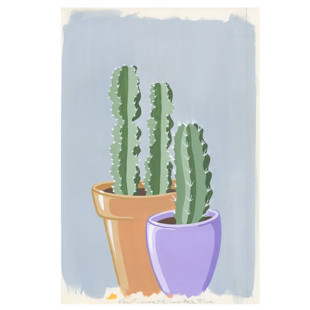 21-01-31-Potted-Cacti-No-21-web-05.jpg