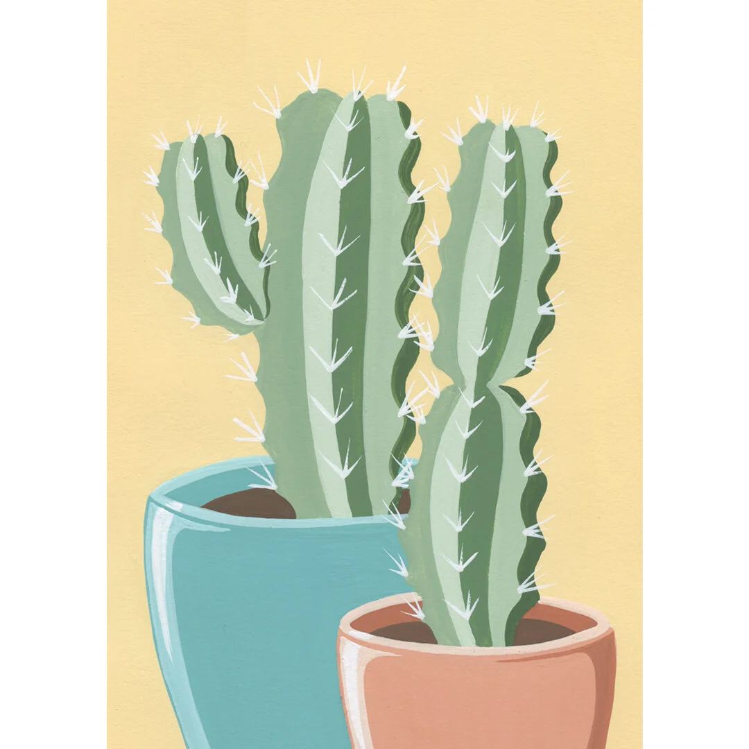 21-01-31-Potted-Cacti-No-22-web-04.jpeg