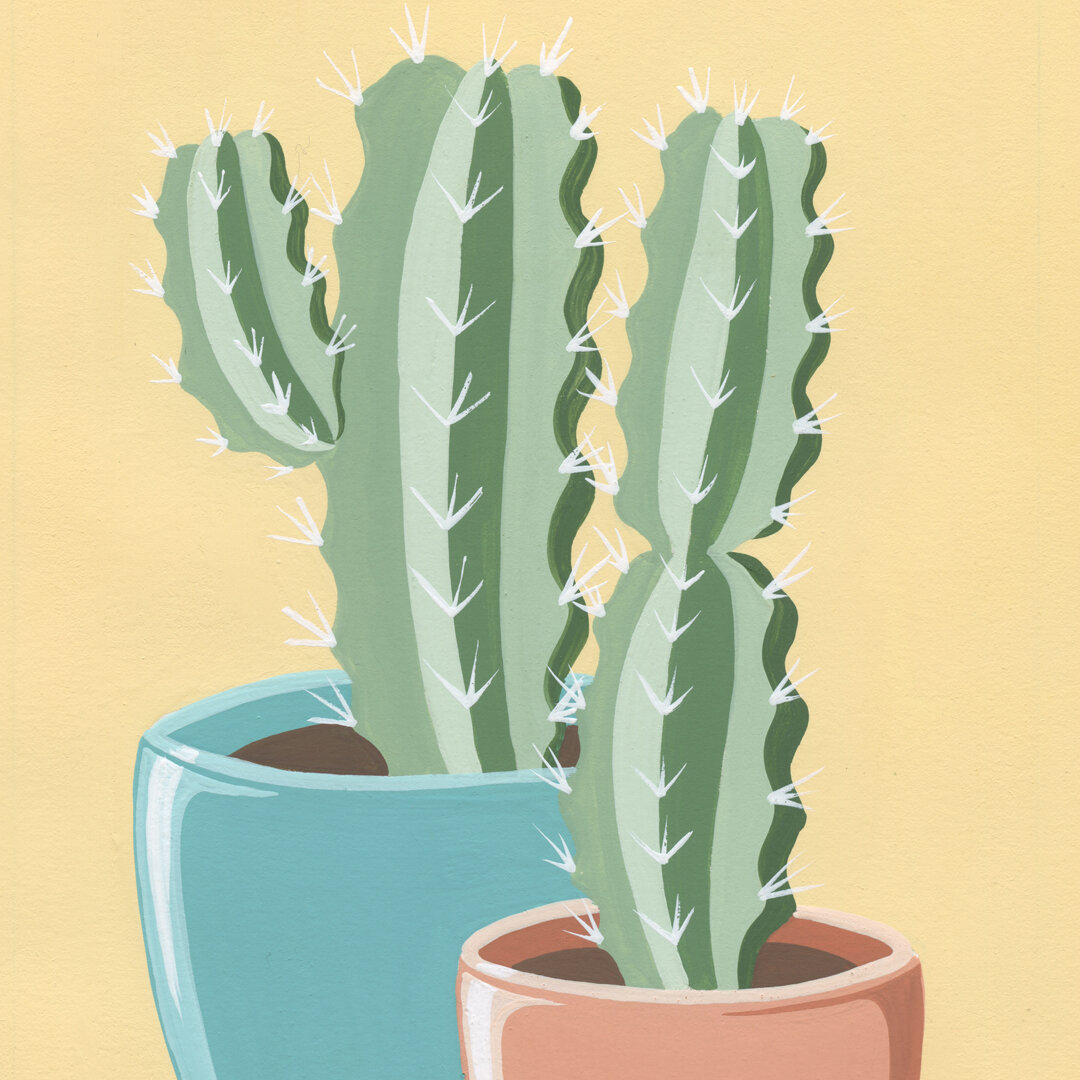 21-01-31-Potted-Cacti-No-22-web-03.jpeg