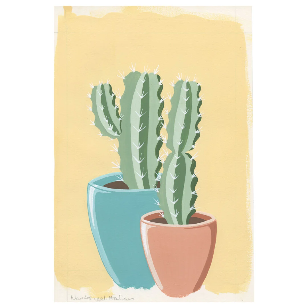 21-01-31-Potted-Cacti-No-22-web-05.jpeg