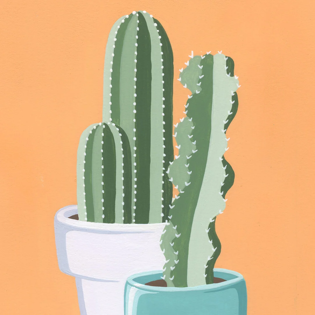 21-01-31-Potted-Cacti-No-23-web-03.jpg