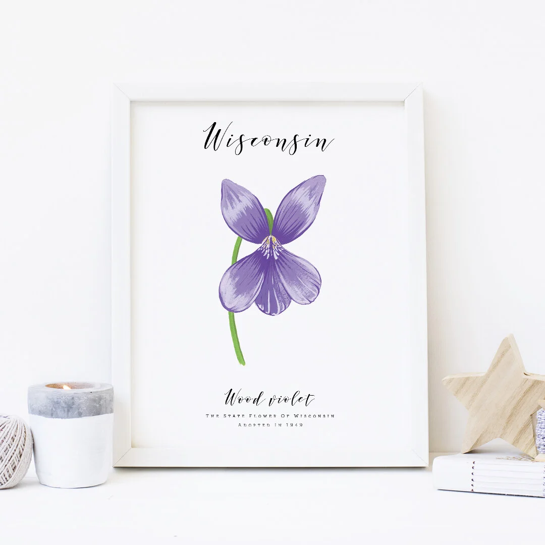 07-Wisconsin-Mockup.jpg