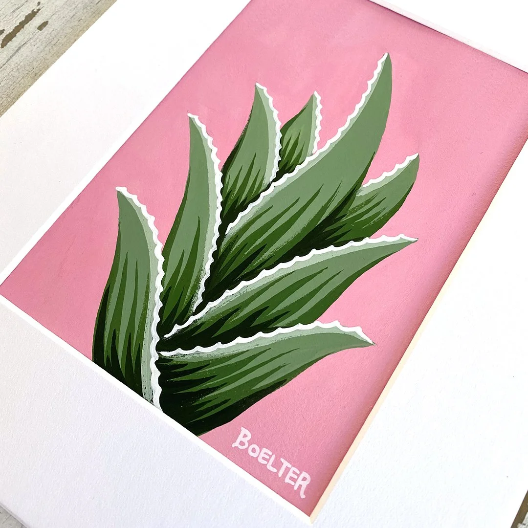 21-aloe-collection-B.jpg