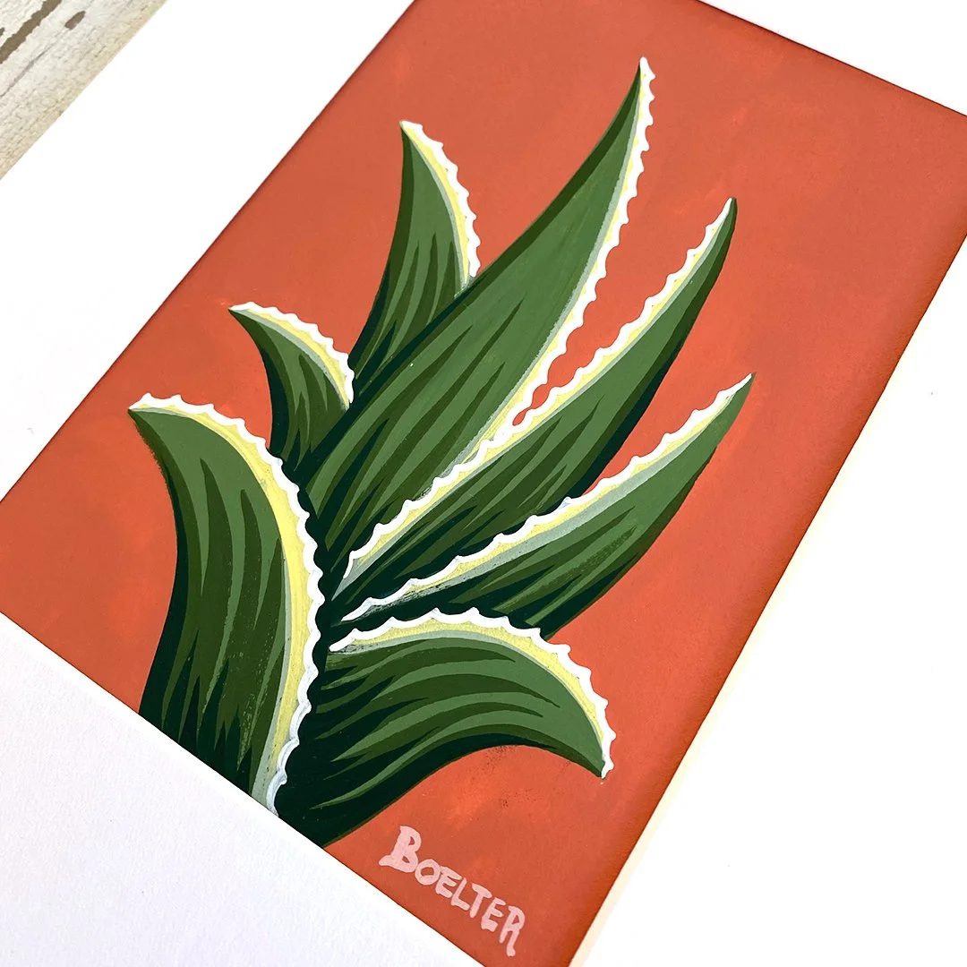 26-aloe-collection-B.jpg