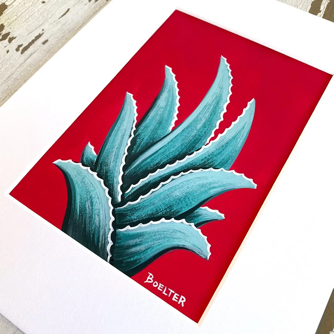 35-aloe-collection-B.jpg