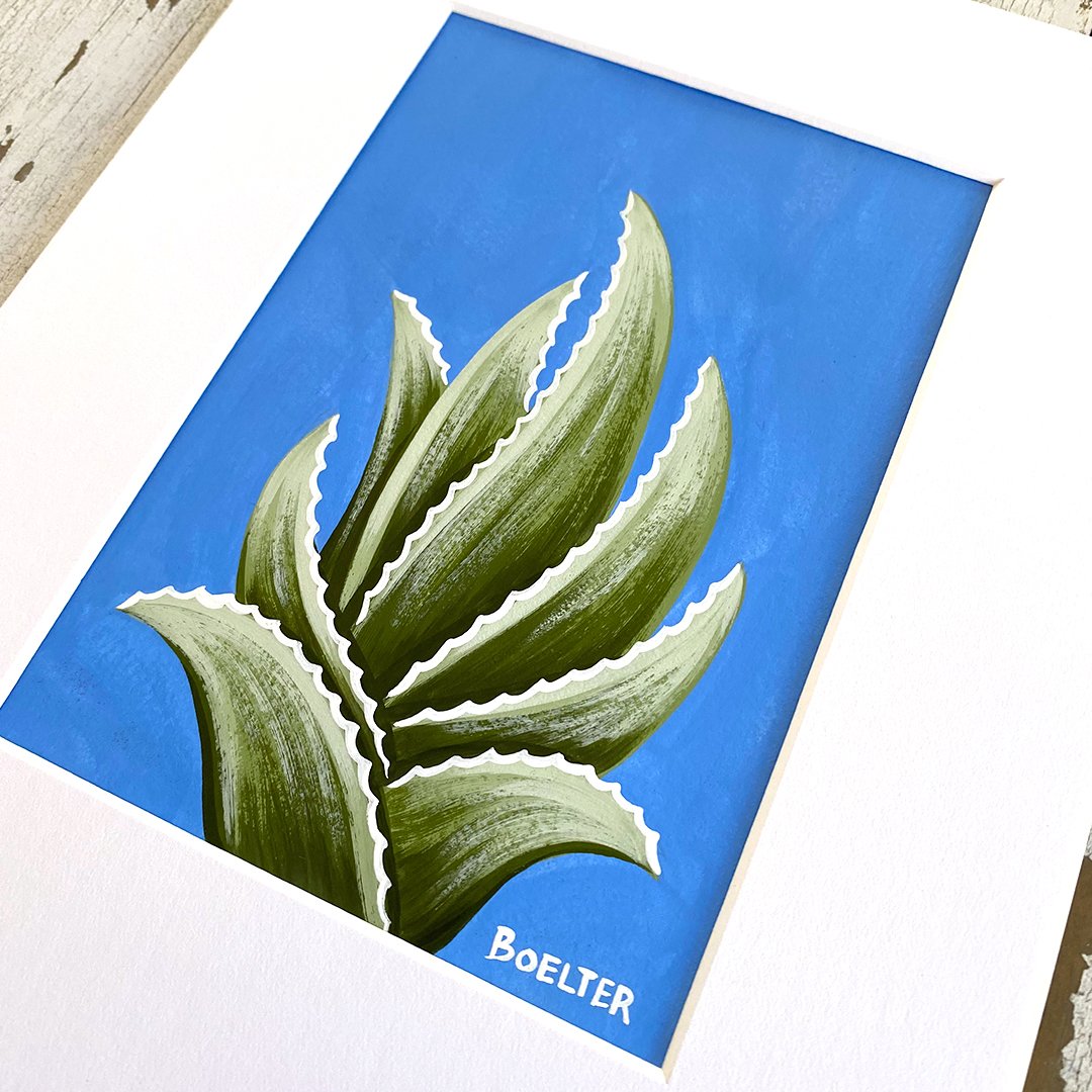 36-aloe-collection-B.jpg