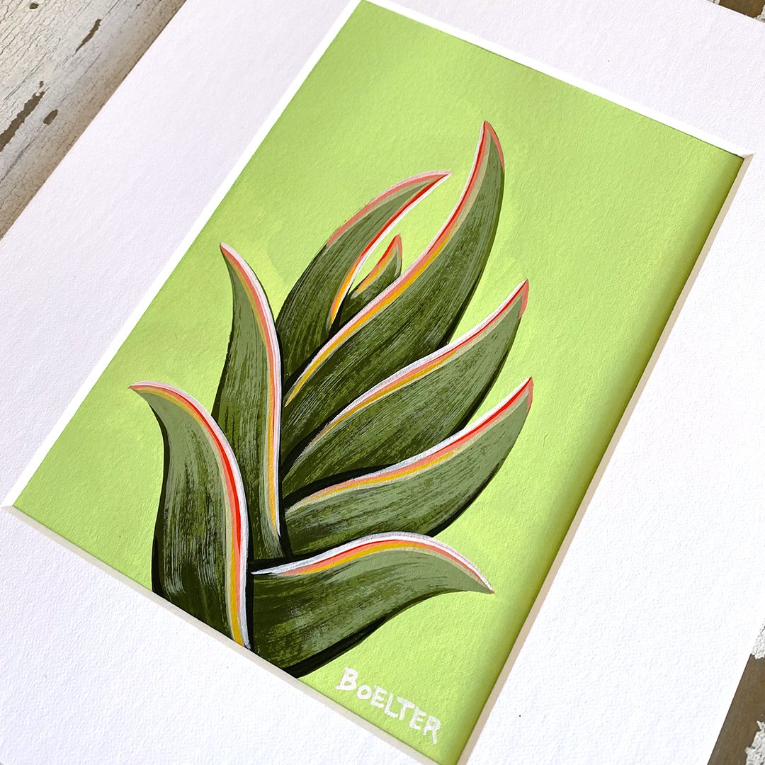 38-aloe-collection-B.jpg