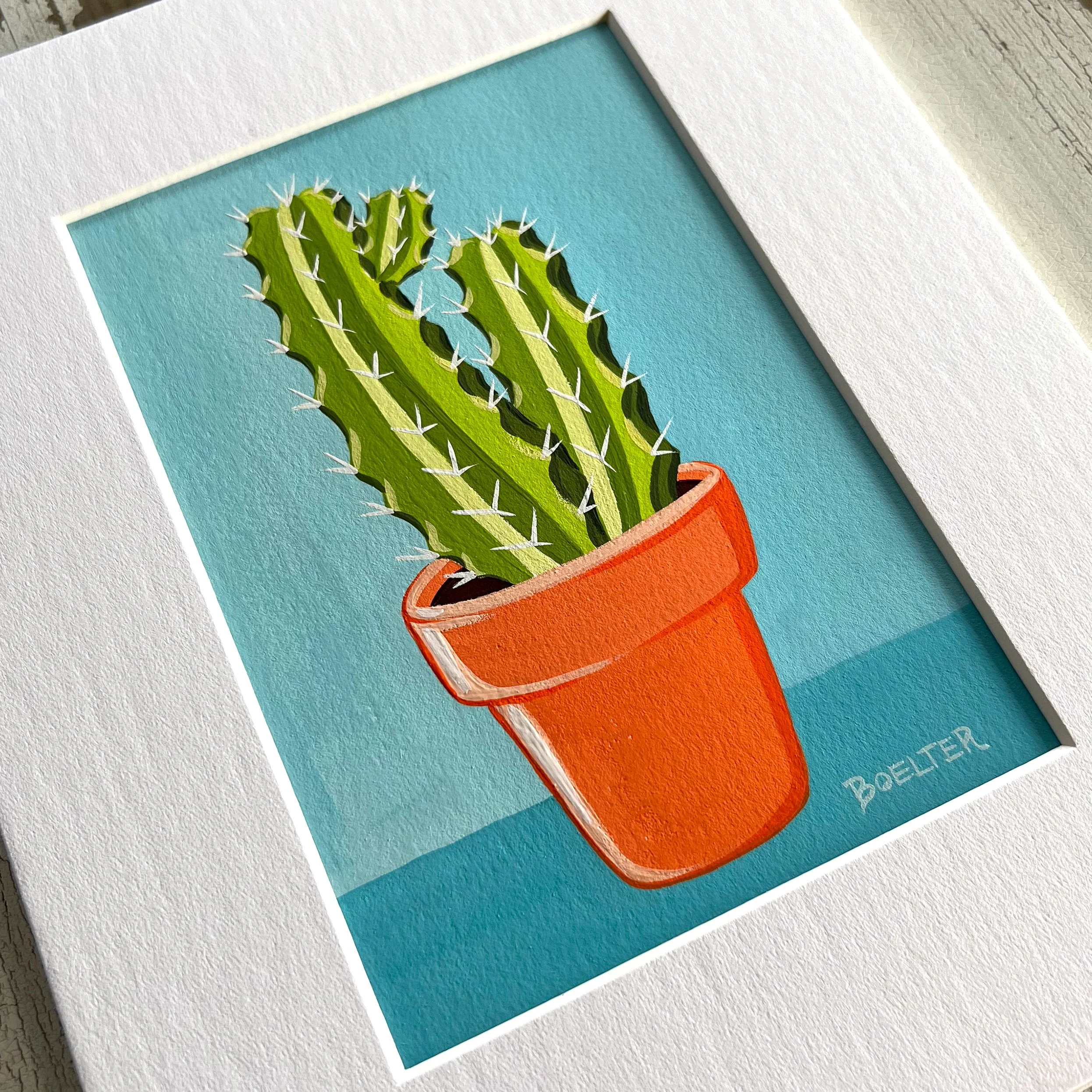 21-12-23-Potted-Cacti-No-25-web-02.jpeg