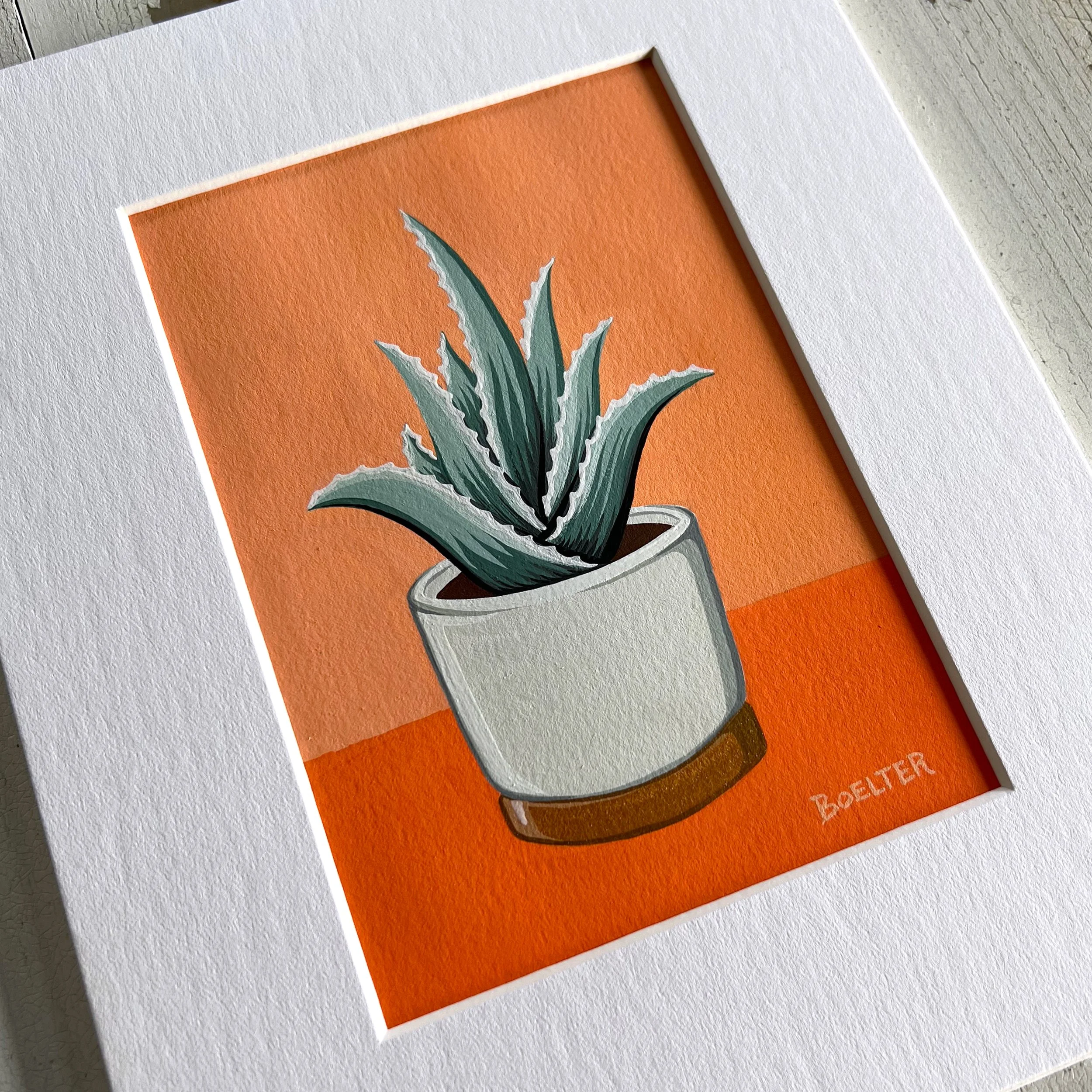 21-12-31-Potted-Aloe-No-27-B1.jpeg