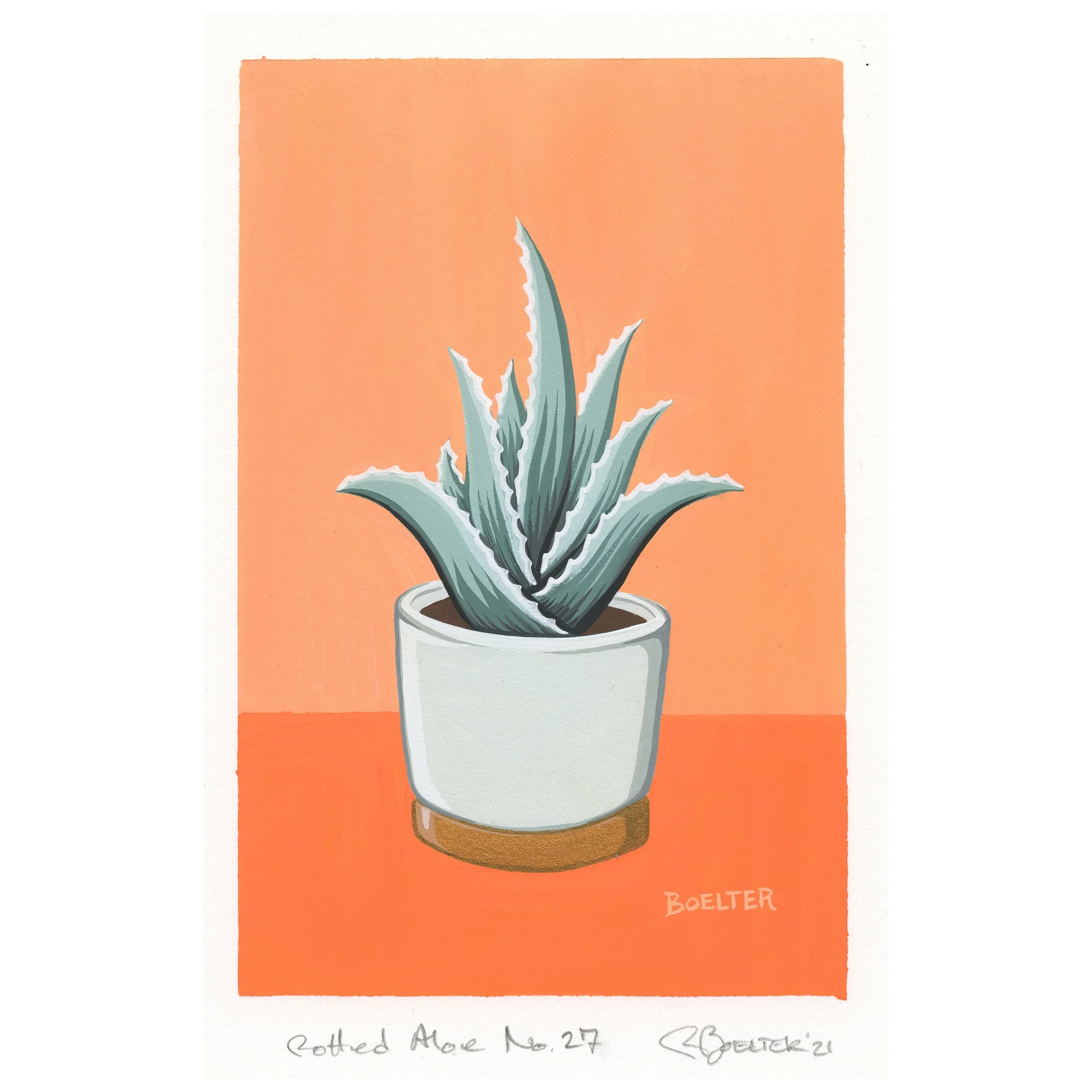 21-12-31-Potted-Aloe-No-27-C1.jpeg