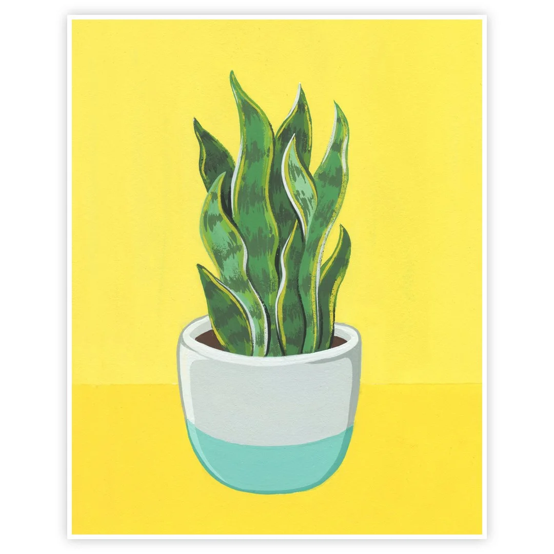 Potted Snake Plant No. 26 | Art Print #205