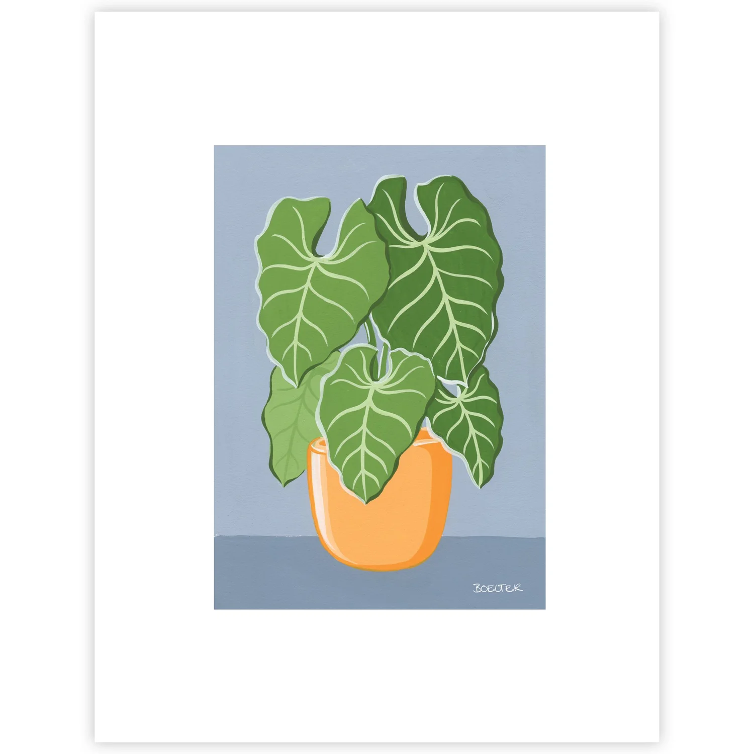 Philodendron Plant | Boelter Design Co.