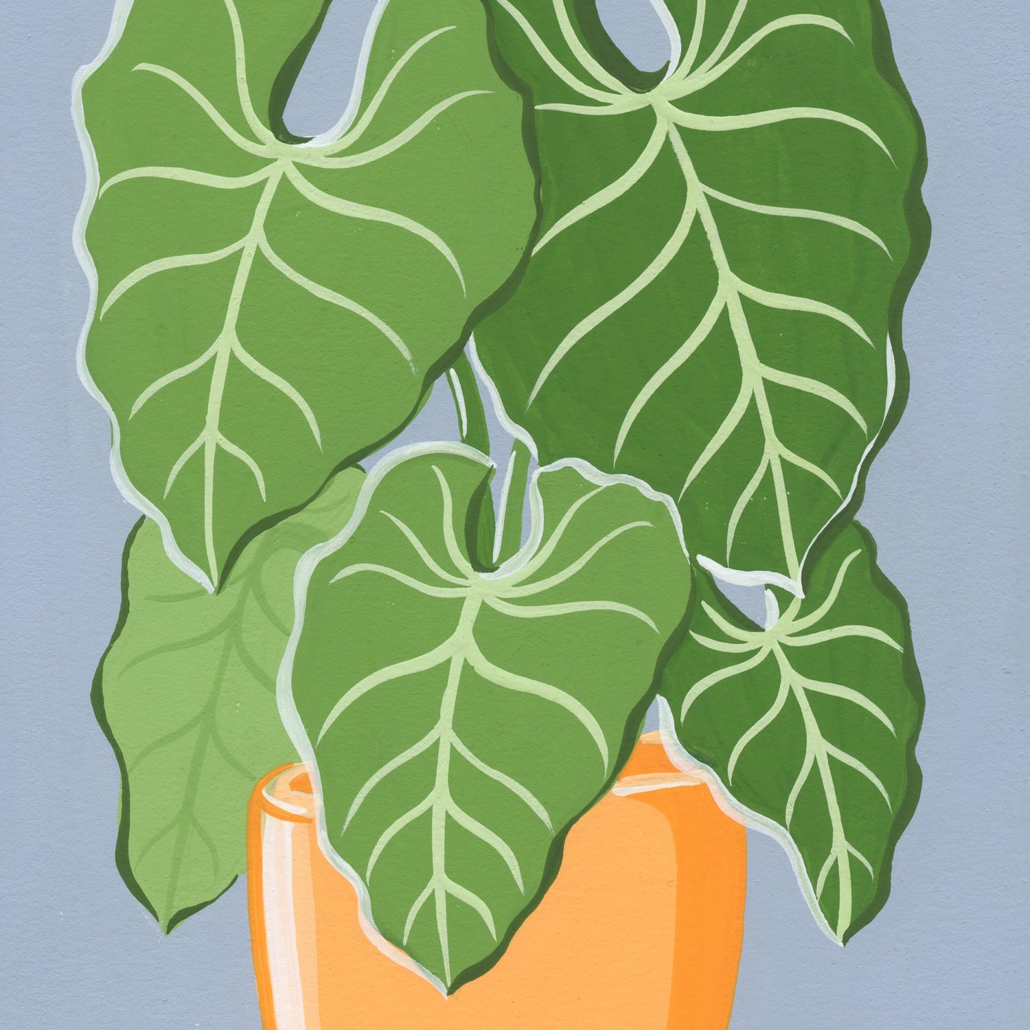 Philodendron Plant | Boelter Design Co.